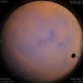 1590857619.jpg