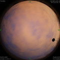 1590857919.jpg