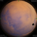 1590858159.jpg