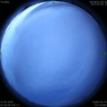 1590870525.jpg