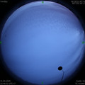 1590940024.jpg
