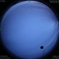1590940084.jpg