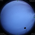 1590940279.jpg