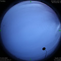 1590940459.jpg
