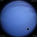 1590941615.jpg