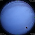 1590941675.jpg