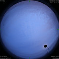 1590942245.jpg