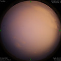 1590954236.jpg
