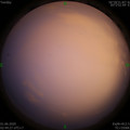 1590954296.jpg