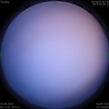 1590956067.jpg