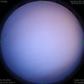 1590956127.jpg