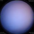 1590956217.jpg