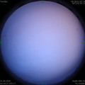 1590956337.jpg