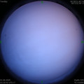 1590956472.jpg