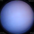 1590956532.jpg