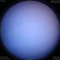 1590956667.jpg