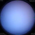 1590957042.jpg
