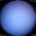 1590957223.jpg