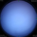 1590957493.jpg
