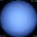 1590958513.jpg