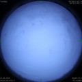 1590959008.jpg