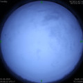 1590959203.jpg