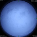 1590959444.jpg
