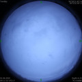1590959504.jpg