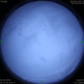 1590959564.jpg