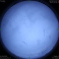 1590959624.jpg