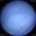 1590959819.jpg