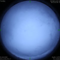 1590960119.jpg