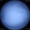 1590960179.jpg
