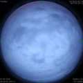 1590960614.jpg