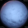 1590962130.jpg