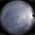 1591012510.jpg