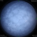1591021514.jpg
