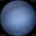 1591022490.jpg