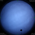 1591026016.jpg
