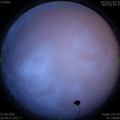 1591027187.jpg