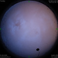 1591027487.jpg