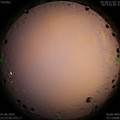 1591030414.jpg