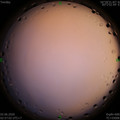 1591041459.jpg