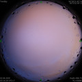 1591042615.jpg