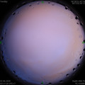 1591042675.jpg