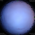1591043110.jpg