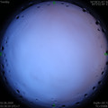 1591043485.jpg