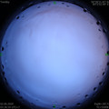 1591043845.jpg