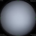 1591057682.jpg