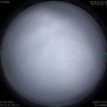 1591059228.jpg